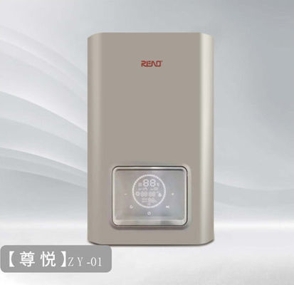 26kw 30kw Naścienny kocioł gazowy Podwójna funkcja Ng 24kw Lpg Combi Boiler